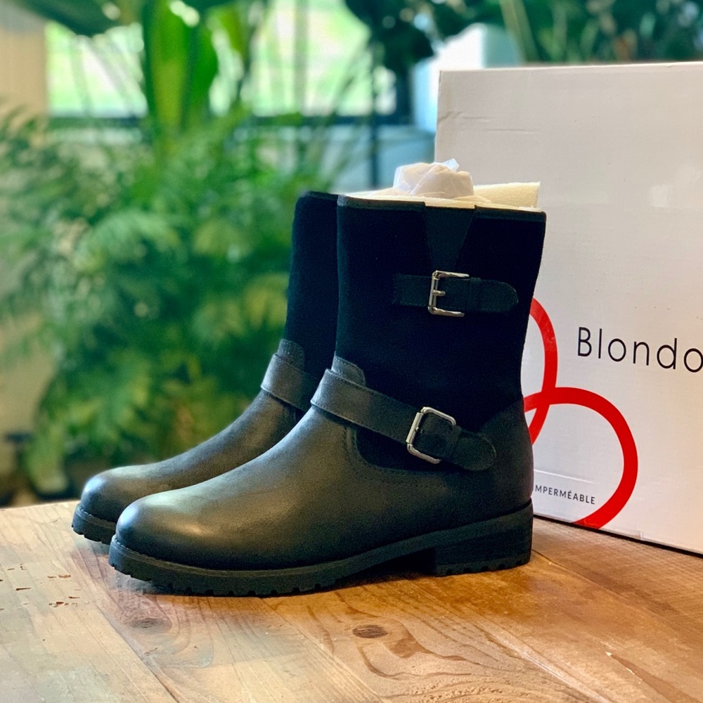 NWT Blondo Waterproof Black Suede Moto Booties